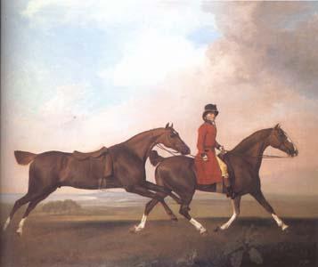 STUBBS, George William Anderson with Two Saddle Horses (mk25) oil painting picture